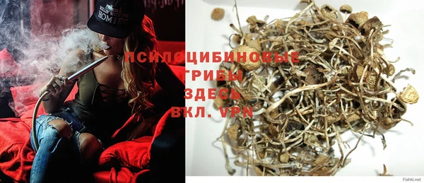 spice Лабытнанги
