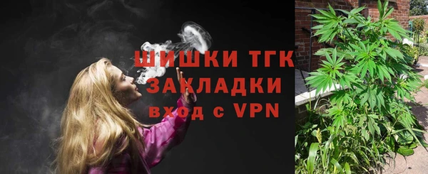 не бодяженный Ладушкин