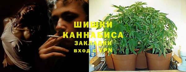 не бодяженный Ладушкин