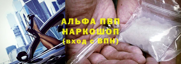 прущие крисы Горняк