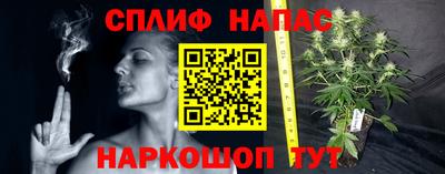 шишки Апшеронск