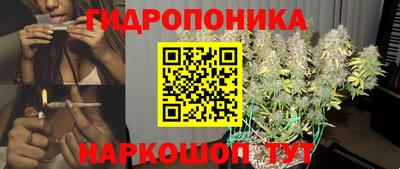 шишки Апшеронск