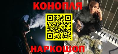 шишки Апшеронск