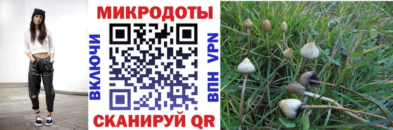купить закладку  Дальнереченск  Псилоцибиновые грибы GOLDEN TEACHER 