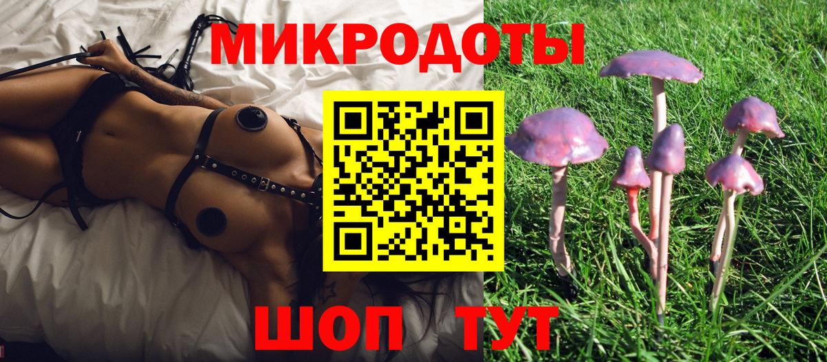 Галлюциногенные грибы Psilocybine cubensis Дальнереченск