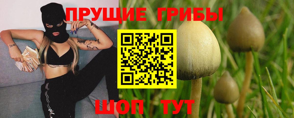 Галлюциногенные грибы GOLDEN TEACHER  Вход с VPN  Дальнереченск 