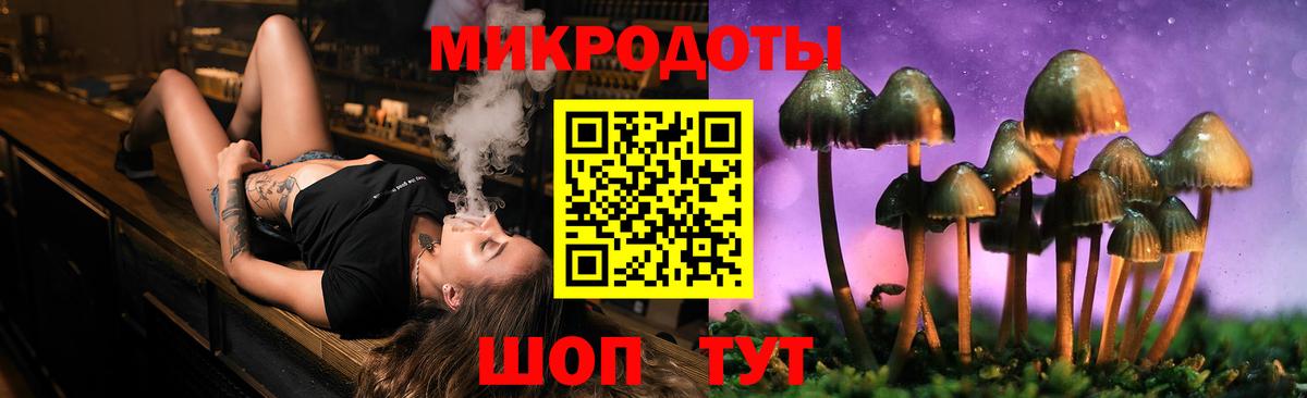 Галлюциногенные грибы Psilocybe  Дальнереченск 